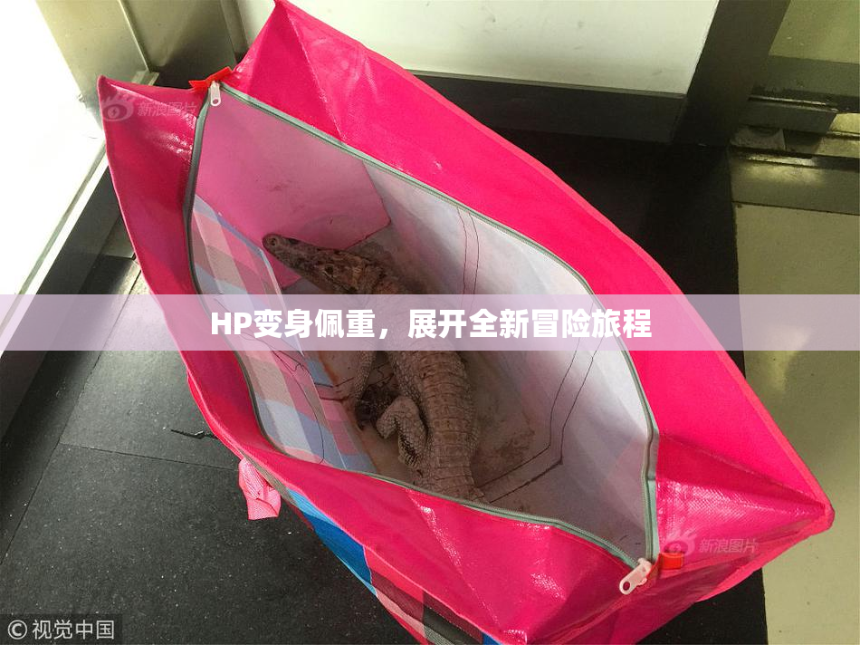 HP变身佩重，展开全新冒险旅程
