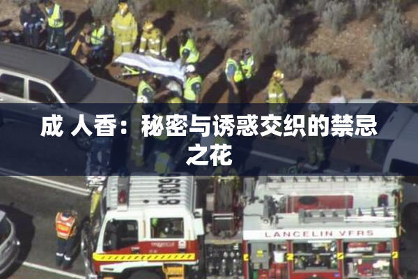 成 人香：秘密与诱惑交织的禁忌之花
