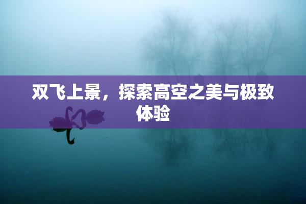 双飞上景，探索高空之美与极致体验