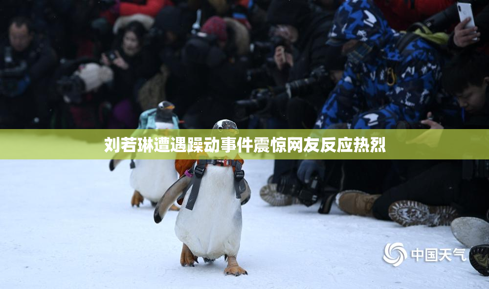 刘若琳遭遇躁动事件震惊网友反应热烈