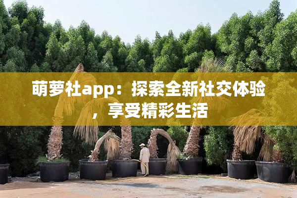 萌萝社app：探索全新社交体验，享受精彩生活