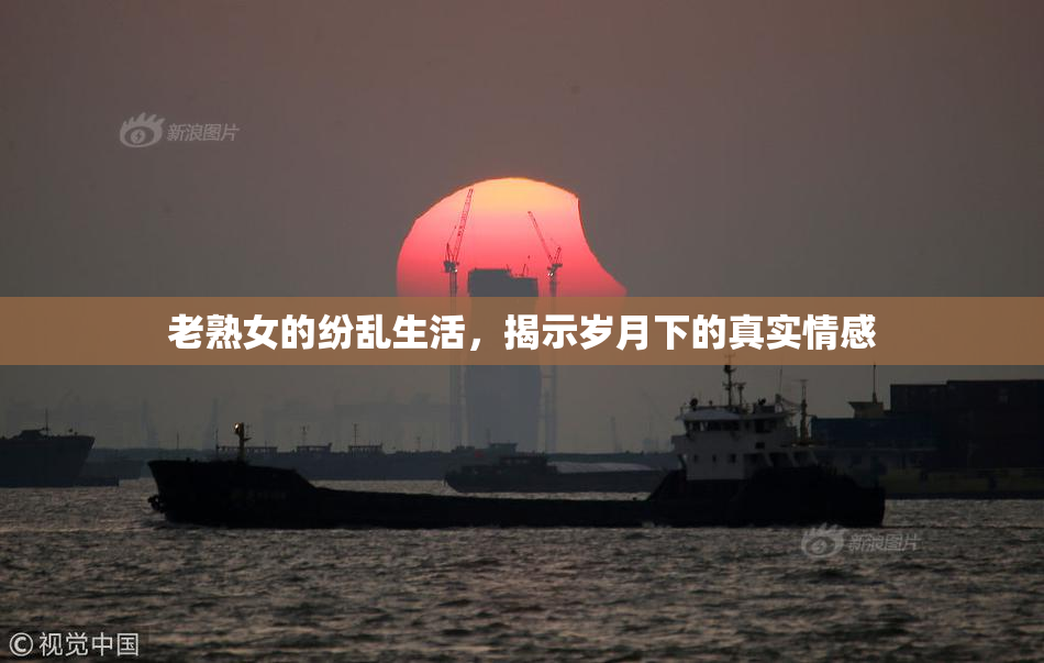老熟女的纷乱生活，揭示岁月下的真实情感
