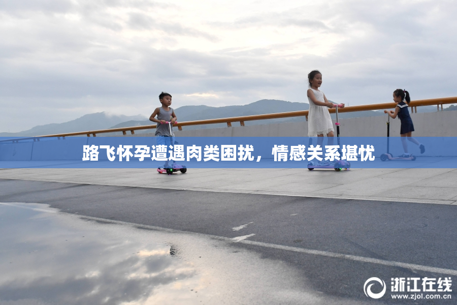 路飞怀孕遭遇肉类困扰，情感关系堪忧
