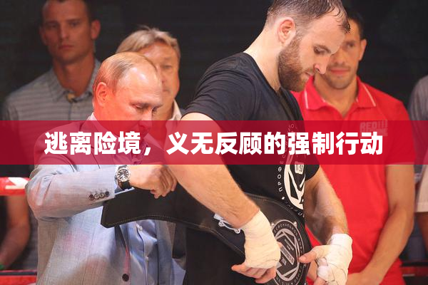 逃离险境，义无反顾的强制行动