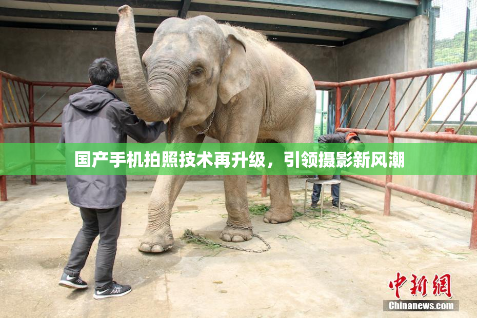 国产手机拍照技术再升级，引领摄影新风潮