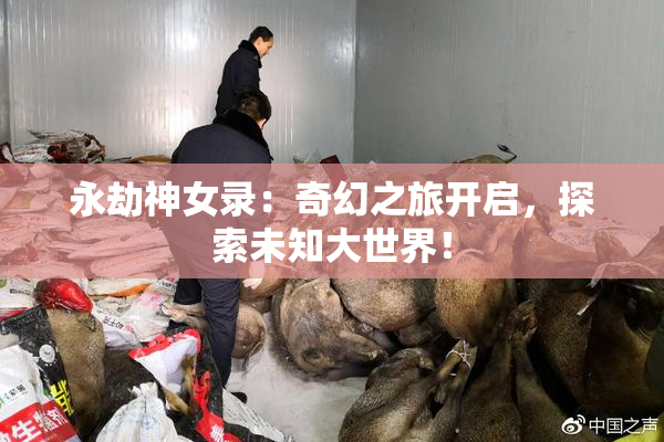 永劫神女录：奇幻之旅开启，探索未知大世界！