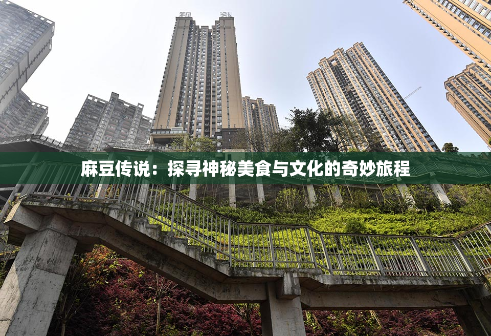 麻豆传说：探寻神秘美食与文化的奇妙旅程