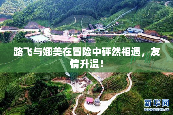 路飞与娜美在冒险中砰然相遇，友情升温！