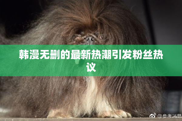 韩漫无删的最新热潮引发粉丝热议
