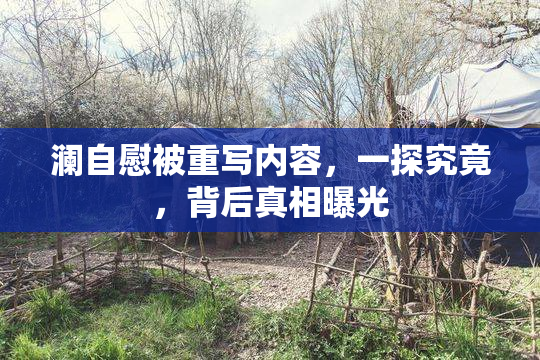 澜自慰被重写内容，一探究竟，背后真相曝光