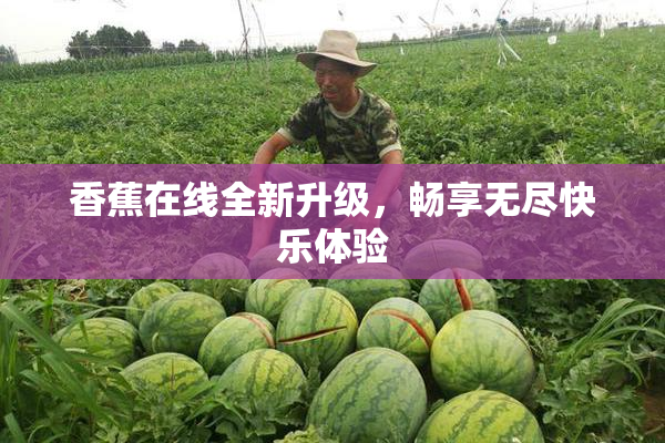 香蕉在线全新升级，畅享无尽快乐体验