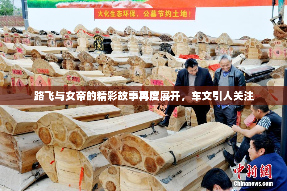 路飞与女帝的精彩故事再度展开，车文引人关注