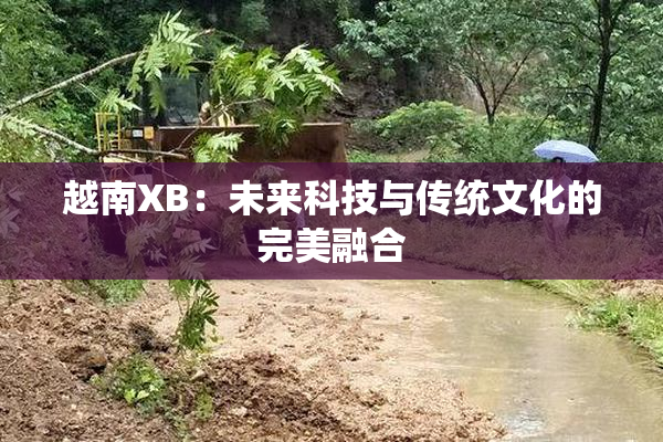 越南XB：未来科技与传统文化的完美融合
