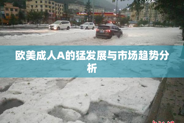 欧美成人A的猛发展与市场趋势分析