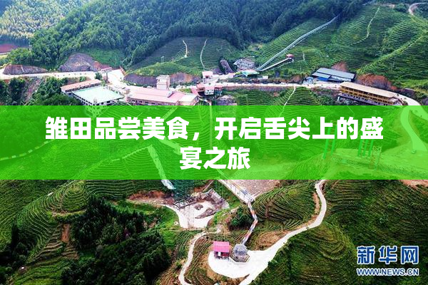 雏田品尝美食，开启舌尖上的盛宴之旅