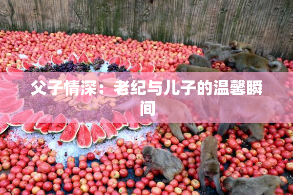 父子情深：老纪与儿子的温馨瞬间