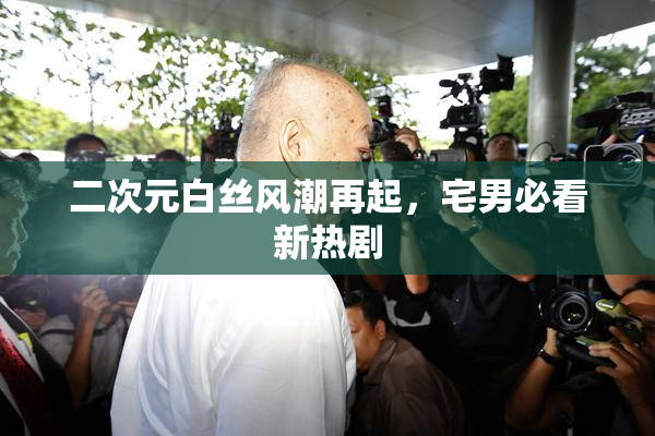二次元白丝风潮再起，宅男必看新热剧