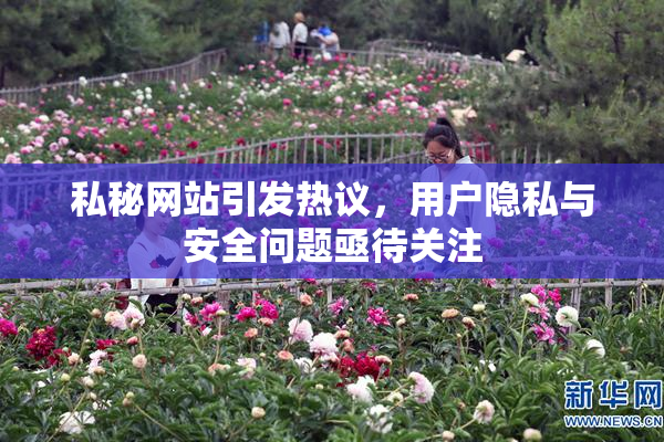私秘网站引发热议，用户隐私与安全问题亟待关注