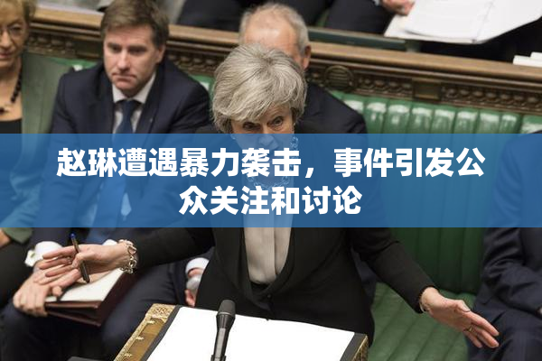 赵琳遭遇暴力袭击，事件引发公众关注和讨论