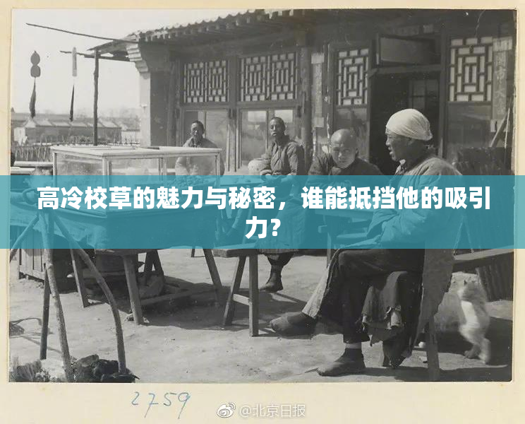 高冷校草的魅力与秘密，谁能抵挡他的吸引力？