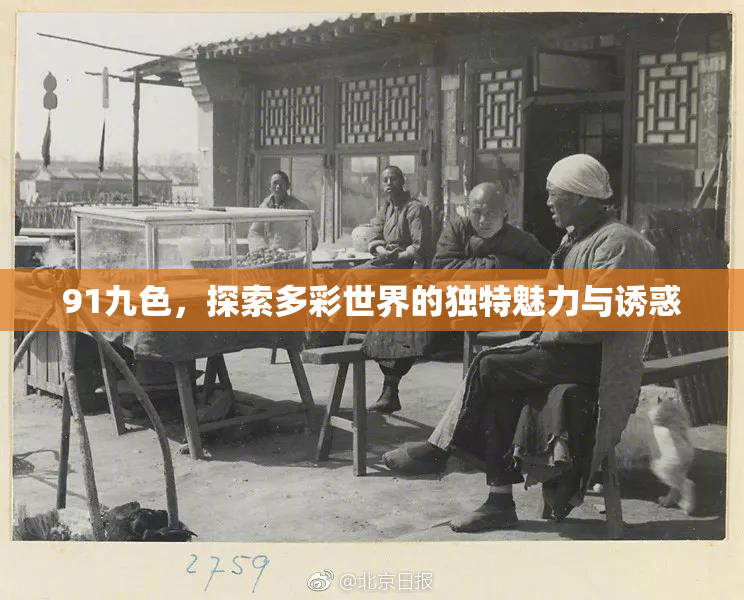 91九色，探索多彩世界的独特魅力与诱惑
