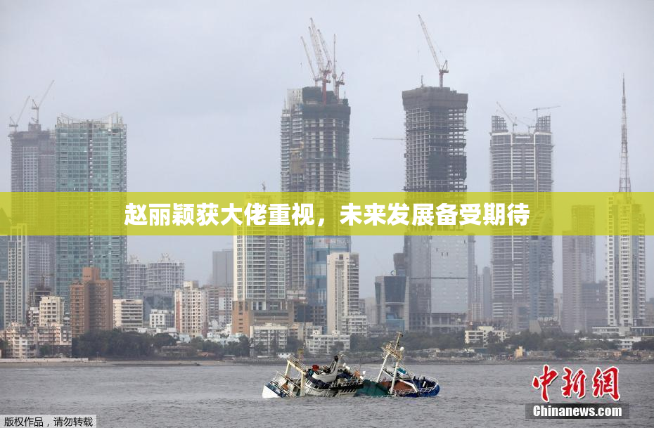 赵丽颖获大佬重视，未来发展备受期待