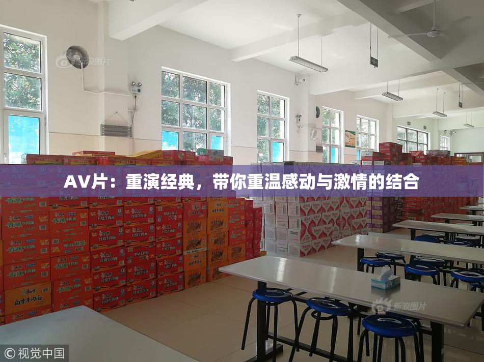 AV片：重演经典，带你重温感动与激情的结合