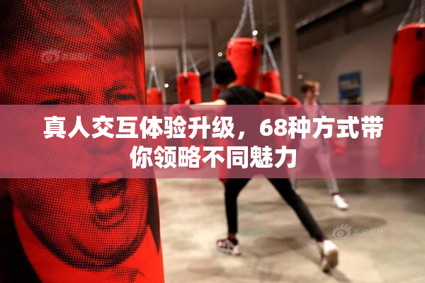 真人交互体验升级，68种方式带你领略不同魅力