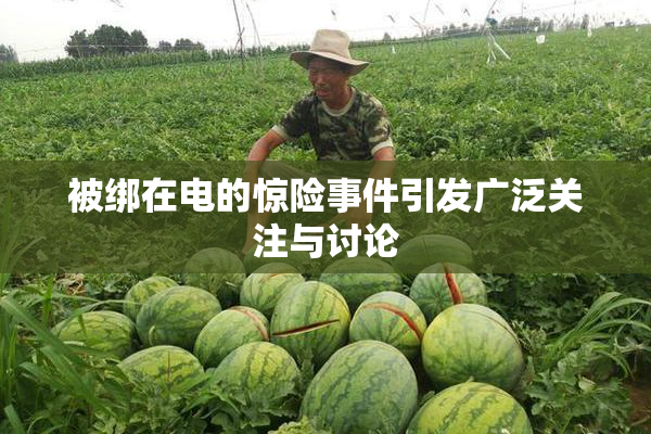 被绑在电的惊险事件引发广泛关注与讨论