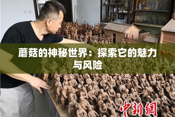 蘑菇的神秘世界：探索它的魅力与风险