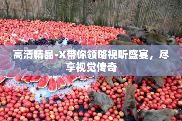 高清精品-X带你领略视听盛宴，尽享视觉传奇