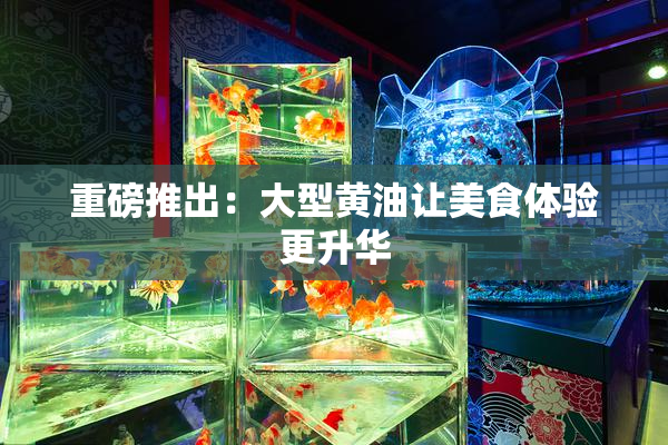 重磅推出：大型黄油让美食体验更升华