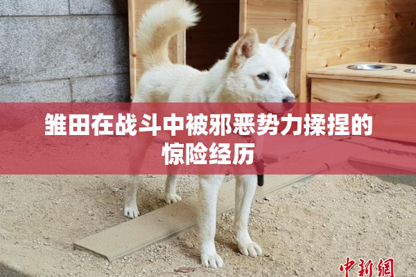 雏田在战斗中被邪恶势力揉捏的惊险经历