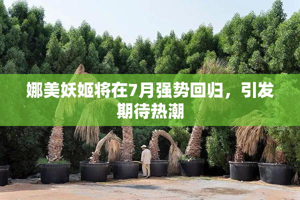 娜美妖姬将在7月强势回归，引发期待热潮