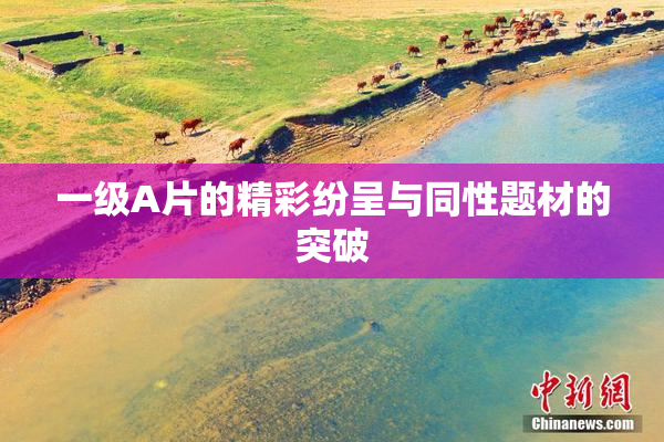 一级A片的精彩纷呈与同性题材的突破