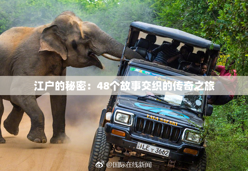 江户的秘密：48个故事交织的传奇之旅