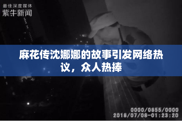 麻花传沈娜娜的故事引发网络热议，众人热捧