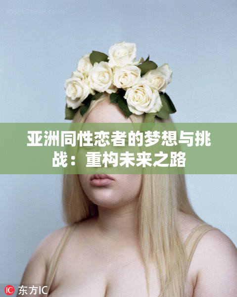 亚洲同性恋者的梦想与挑战：重构未来之路