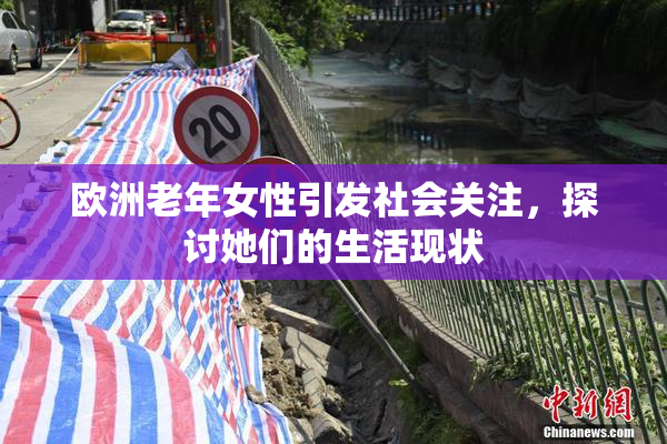 欧洲老年女性引发社会关注，探讨她们的生活现状
