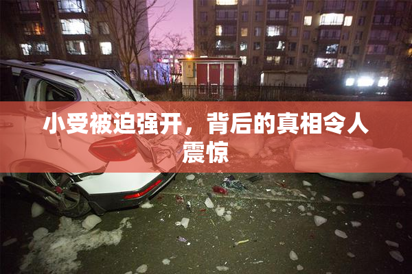 小受被迫强开，背后的真相令人震惊