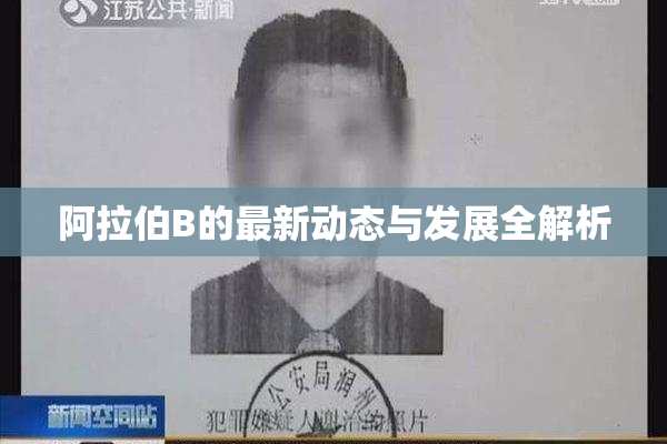 阿拉伯B的最新动态与发展全解析