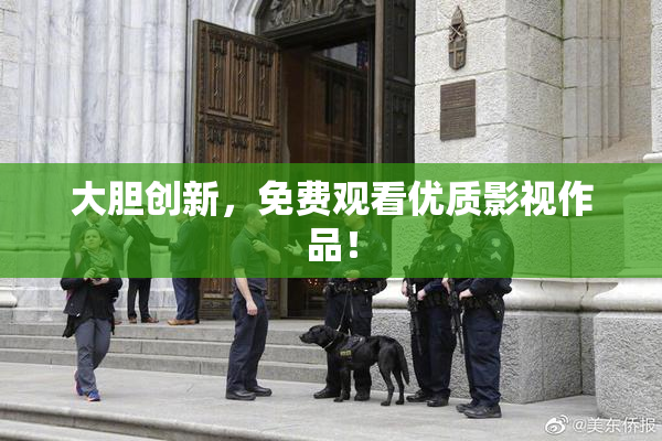 大胆创新，免费观看优质影视作品！