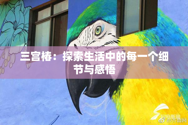 三宫椿：探索生活中的每一个细节与感悟