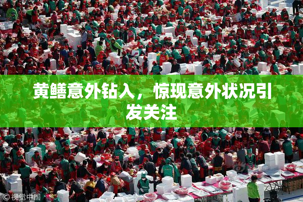 黄鳝意外钻入，惊现意外状况引发关注