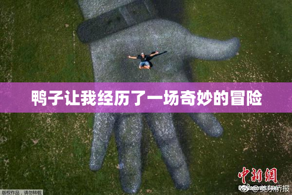 鸭子让我经历了一场奇妙的冒险