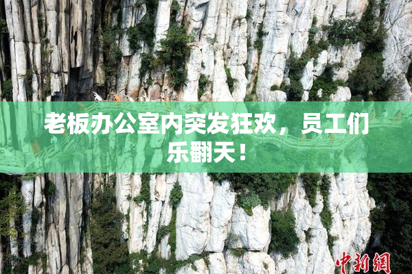 老板办公室内突发狂欢，员工们乐翻天！