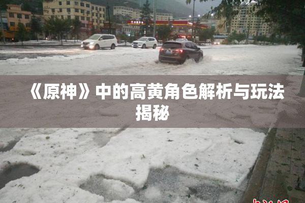 《原神》中的高黄角色解析与玩法揭秘