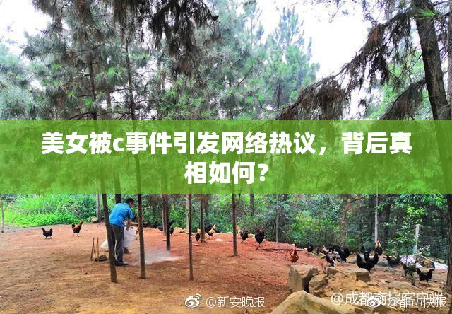 美女被c事件引发网络热议，背后真相如何？
