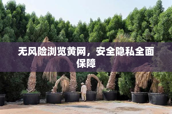 无风险浏览黄网，安全隐私全面保障