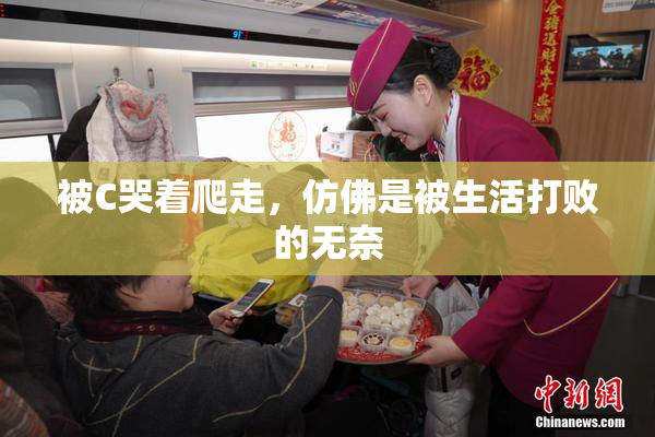 被C哭着爬走，仿佛是被生活打败的无奈